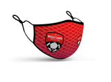 Wesley Chapel SC Mask